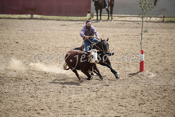Tumut2_0469