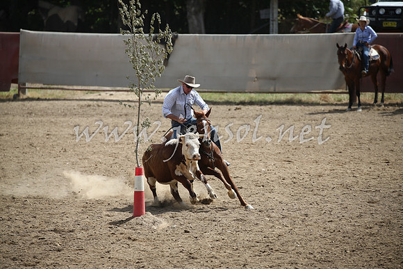 Tumut2_0530