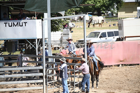 Tumut2_0384