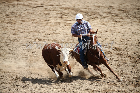 Tumut2_0588
