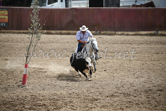 Tumut2_0443
