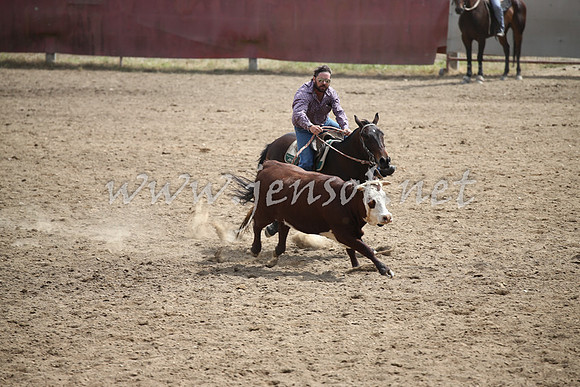 Tumut2_0458