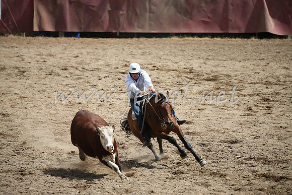 Tumut2_0682