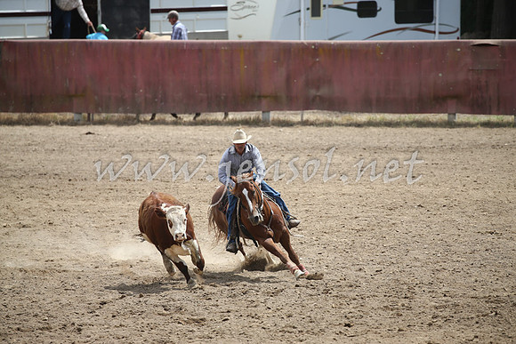 Tumut2_0733