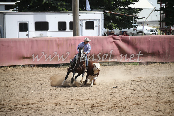 Tumut2_0556
