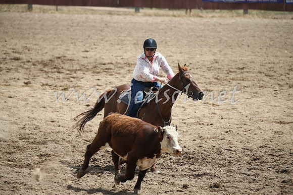 Tumut2_0699