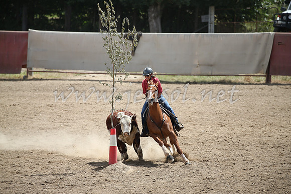 Tumut2_0664