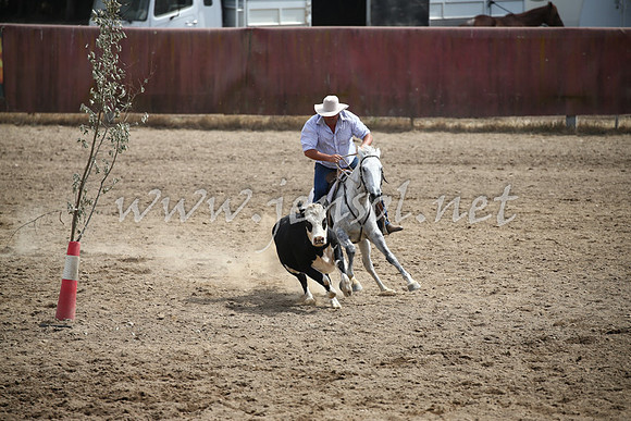 Tumut2_0441