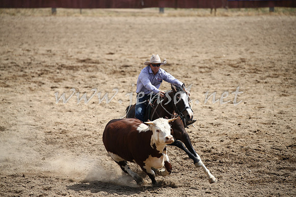 Tumut2_0542