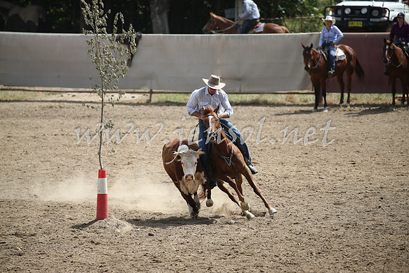 Tumut2_0538