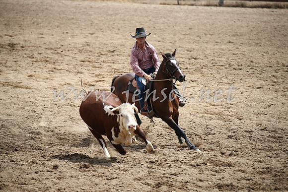 Tumut2_0728