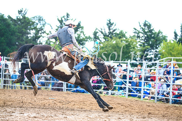 BraidwoodRodeo2017_2020