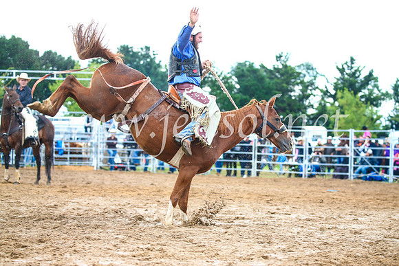 BraidwoodRodeo2017_1886