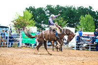 BraidwoodRodeo2017_1833