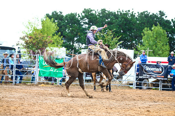 BraidwoodRodeo2017_1833