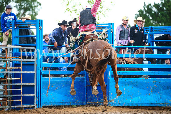 BraidwoodRodeo2017_1958