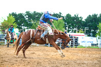 BraidwoodRodeo2017_1879