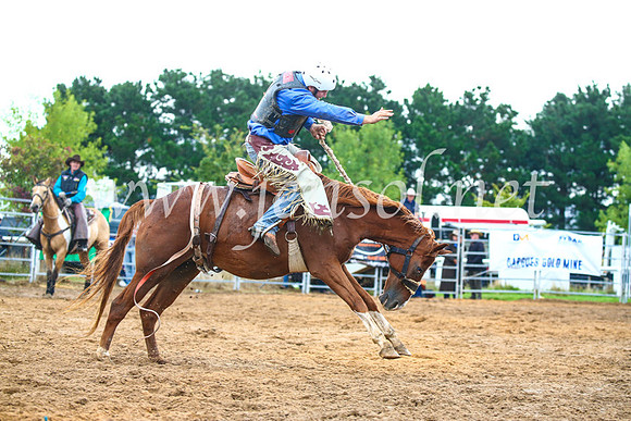 BraidwoodRodeo2017_1879
