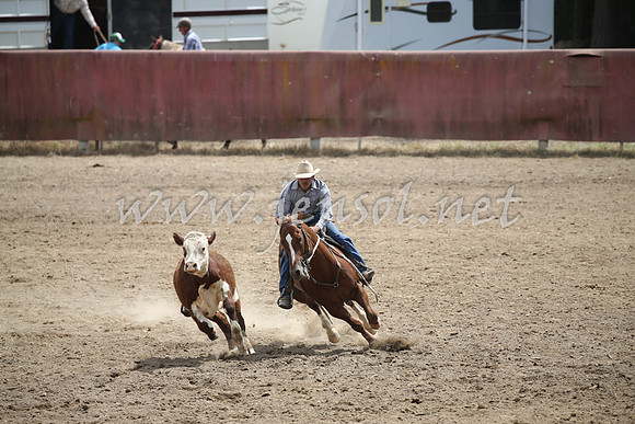 Tumut2_0734
