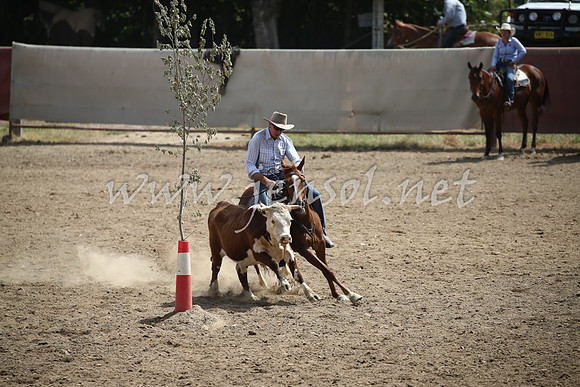 Tumut2_0526