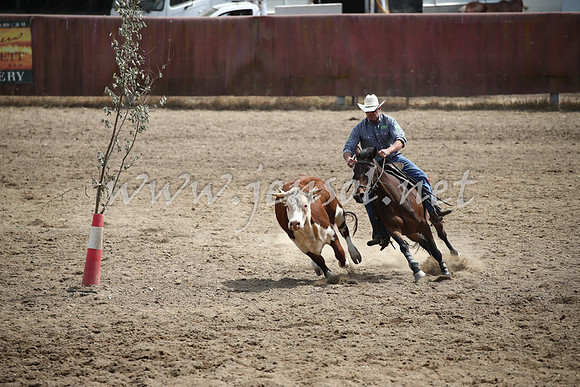 Tumut2_0489