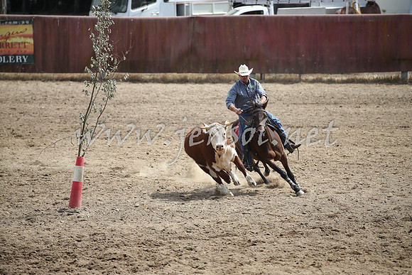 Tumut2_0493