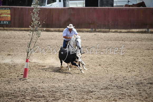 Tumut2_0439