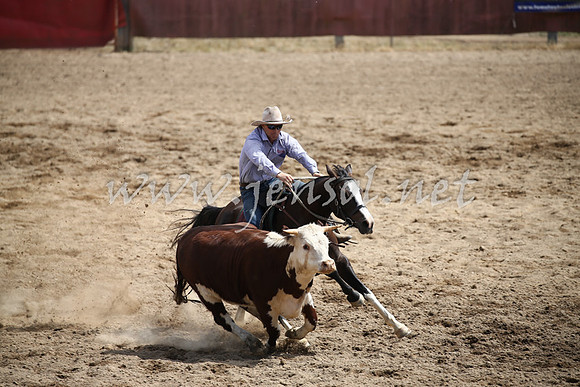 Tumut2_0553