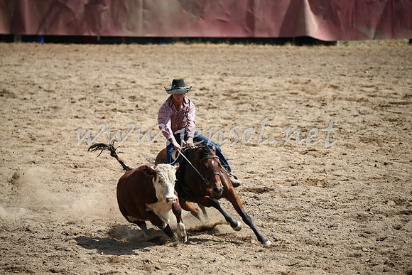 Tumut2_0613