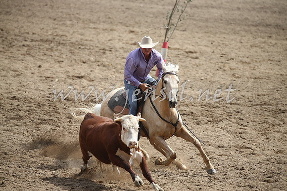 Tumut2_0471