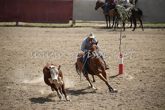 Tumut2_0632