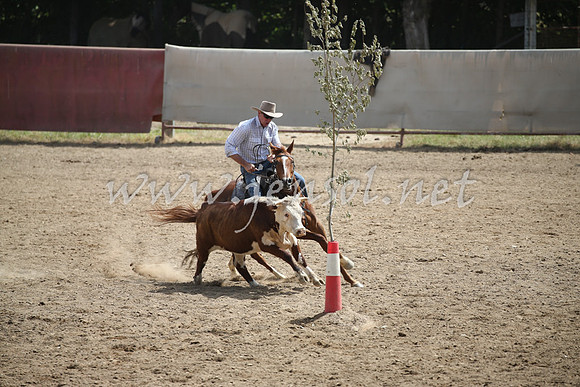 Tumut2_0532