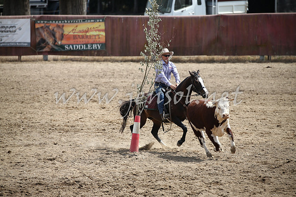Tumut2_0571