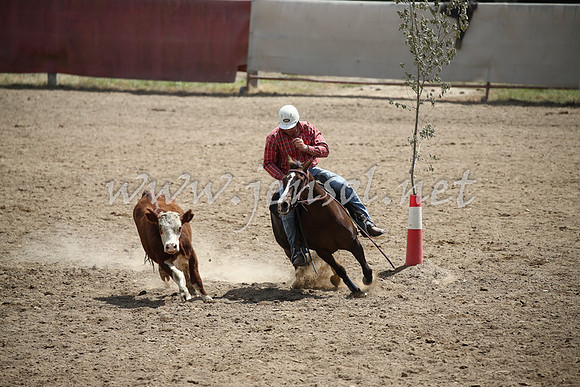 Tumut2_0680