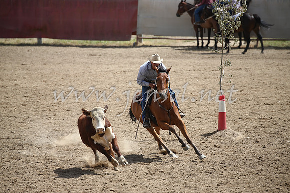 Tumut2_0633