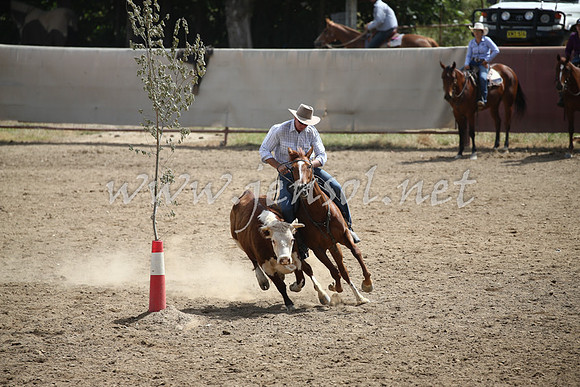 Tumut2_0539