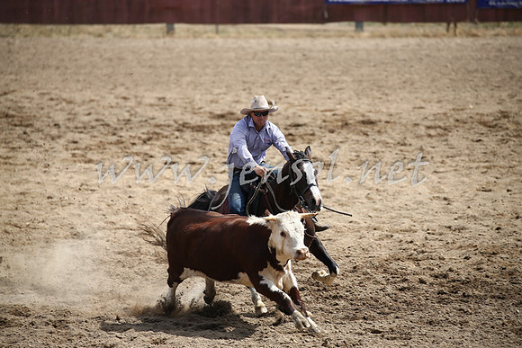 Tumut2_0549