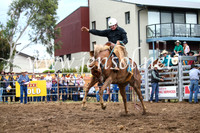 JindabyneRodeo2016-1860