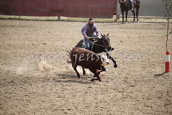 Tumut2_0459