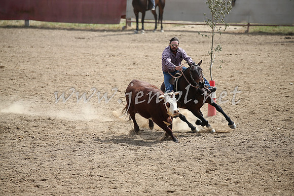Tumut2_0468