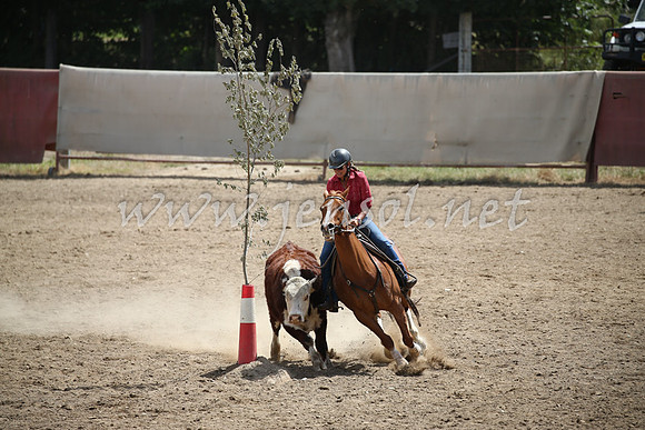 Tumut2_0662