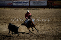 Tumut2_0375