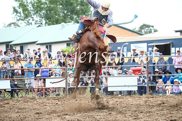 JindabyneRodeo2016_3560