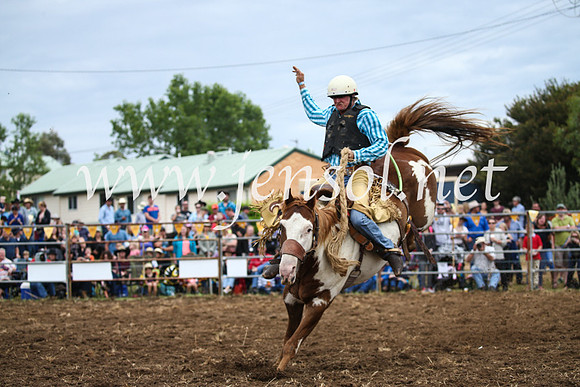 JindabyneRodeo2016-1842