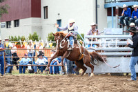 Novice Saddle Bronc
