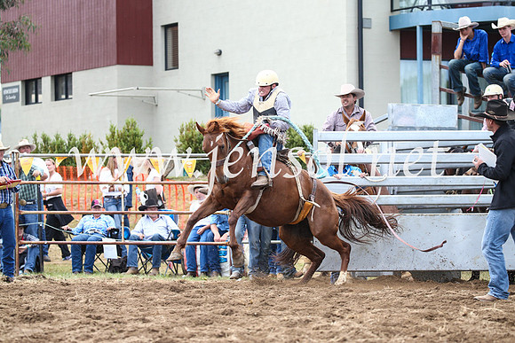 JindabyneRodeo2016_3539