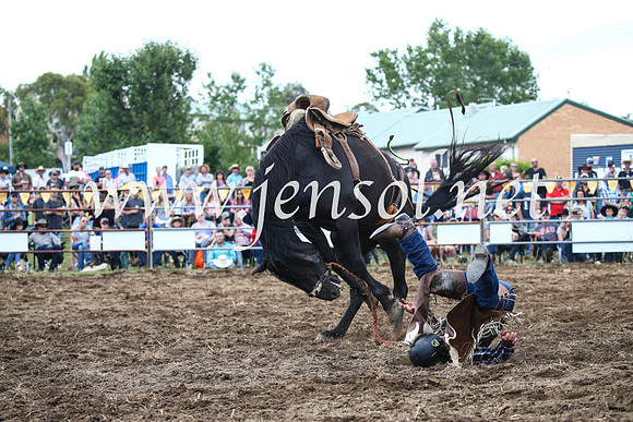 JindabyneRodeo2016_3731