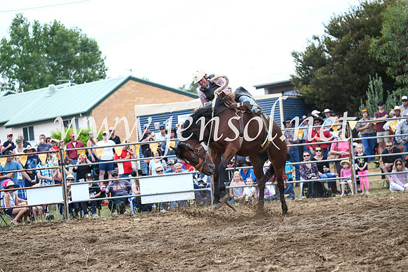 JindabyneRodeo2016_3604