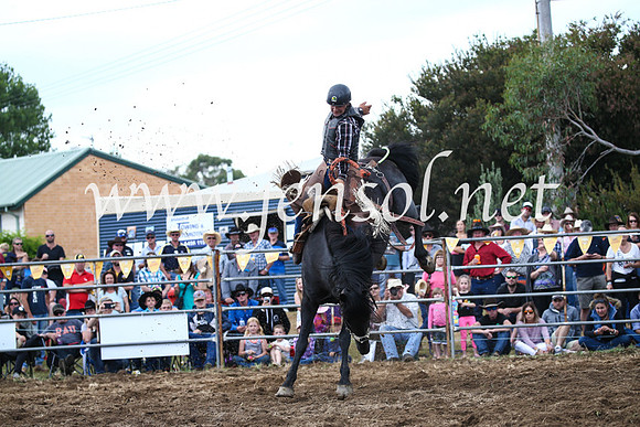 JindabyneRodeo2016_3721