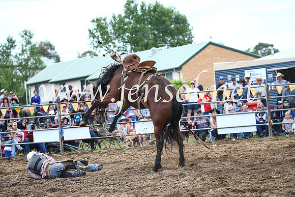 JindabyneRodeo2016_3637